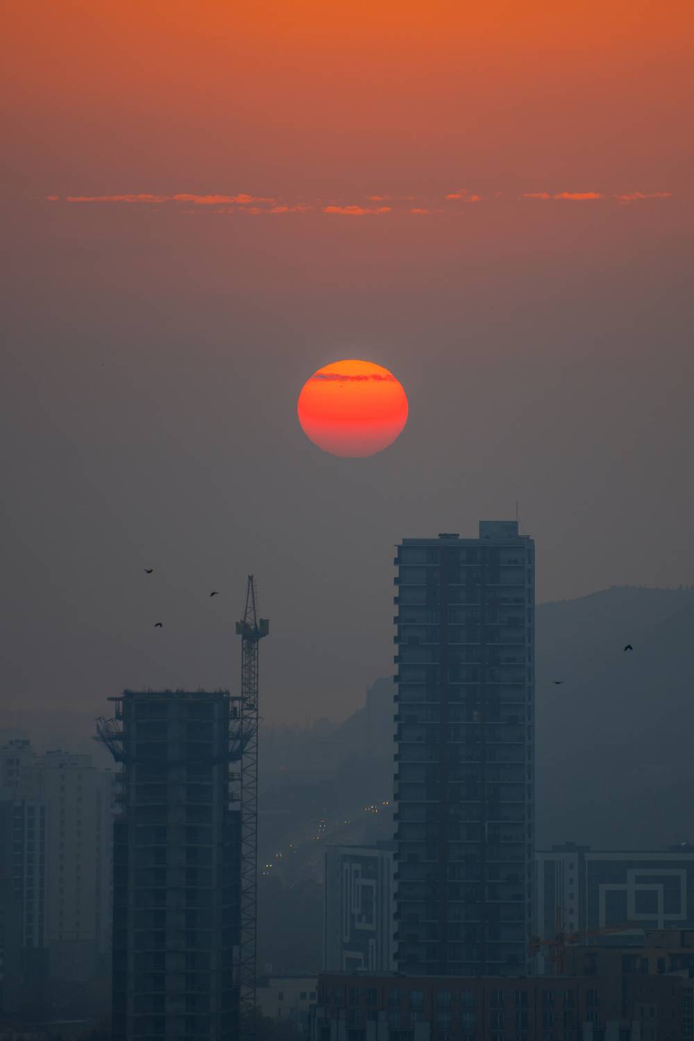 #sunrise, #morning, Saba Gloveli