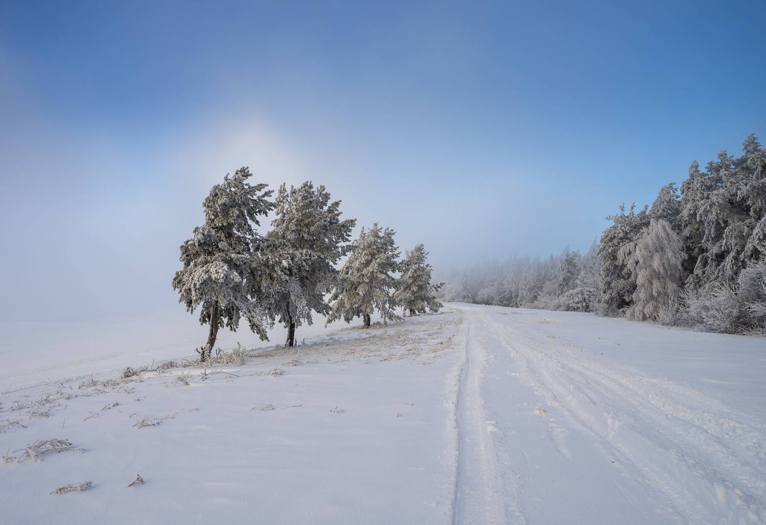 ,  Mirosław Pruchnicki