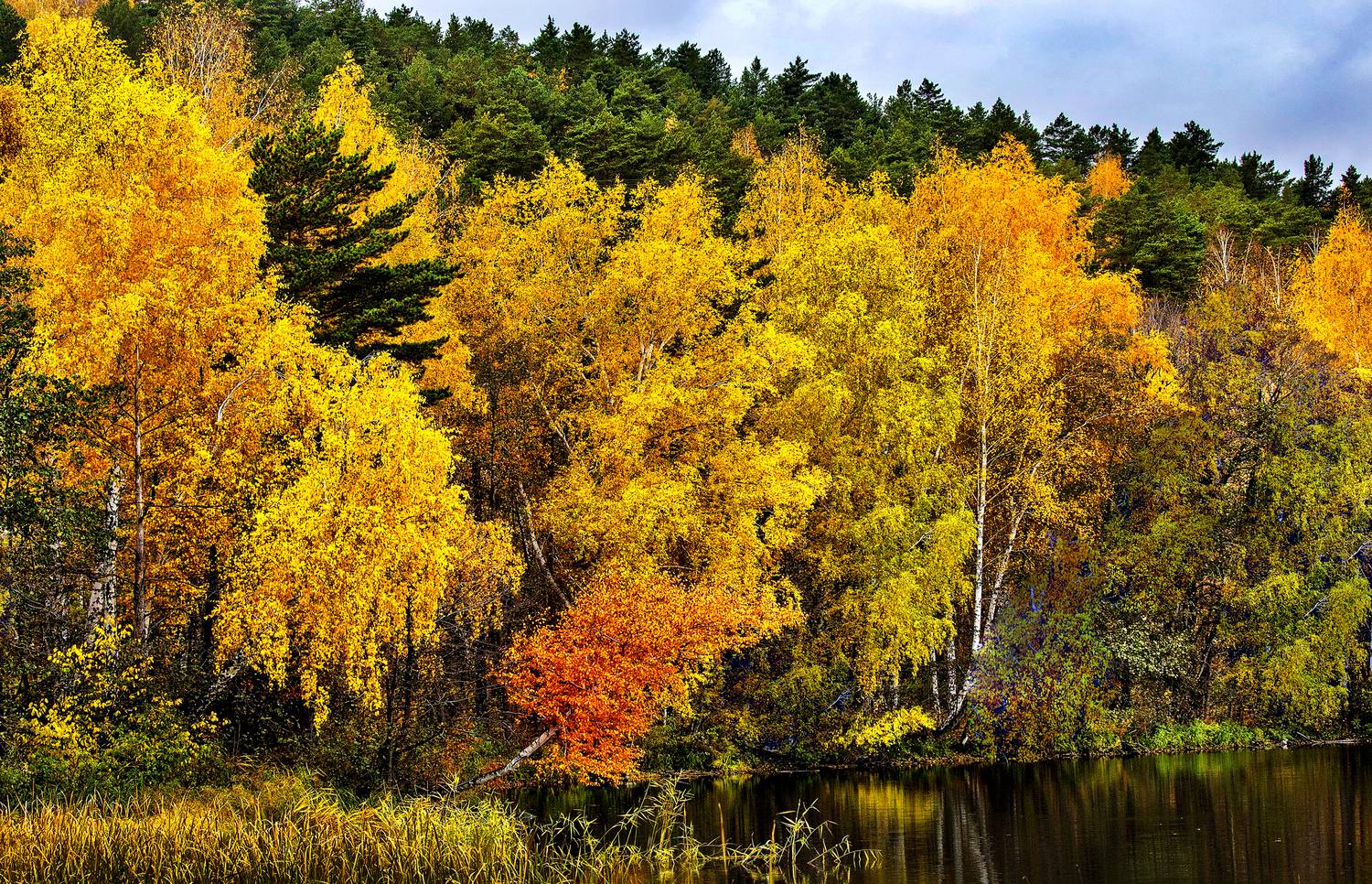 , Ушаков Валерий