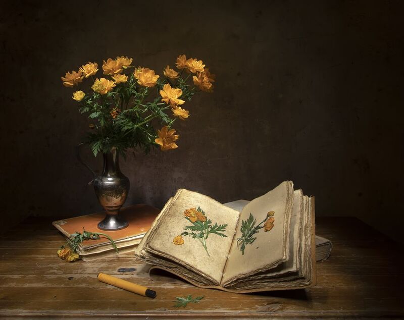 натюрморт, книги, купальница, жарки Жарки... фото превью