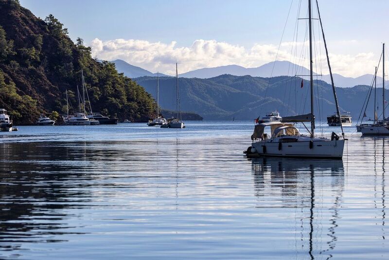 Море Регата  фото превью