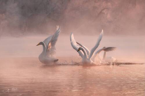 В морозном плену