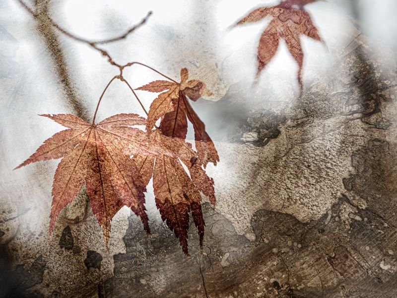 Картография фото превью