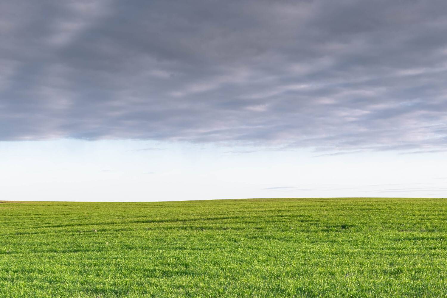 , Малыгин Андрей