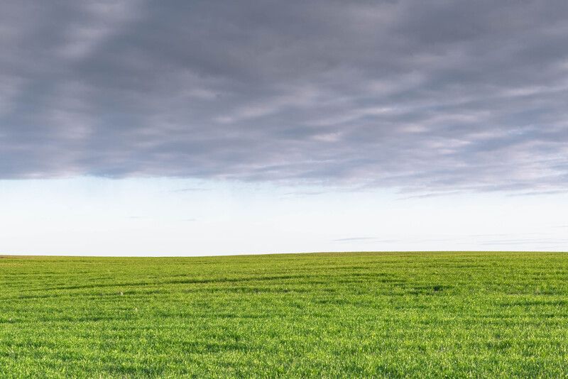 Пасторальный минимализм фото превью