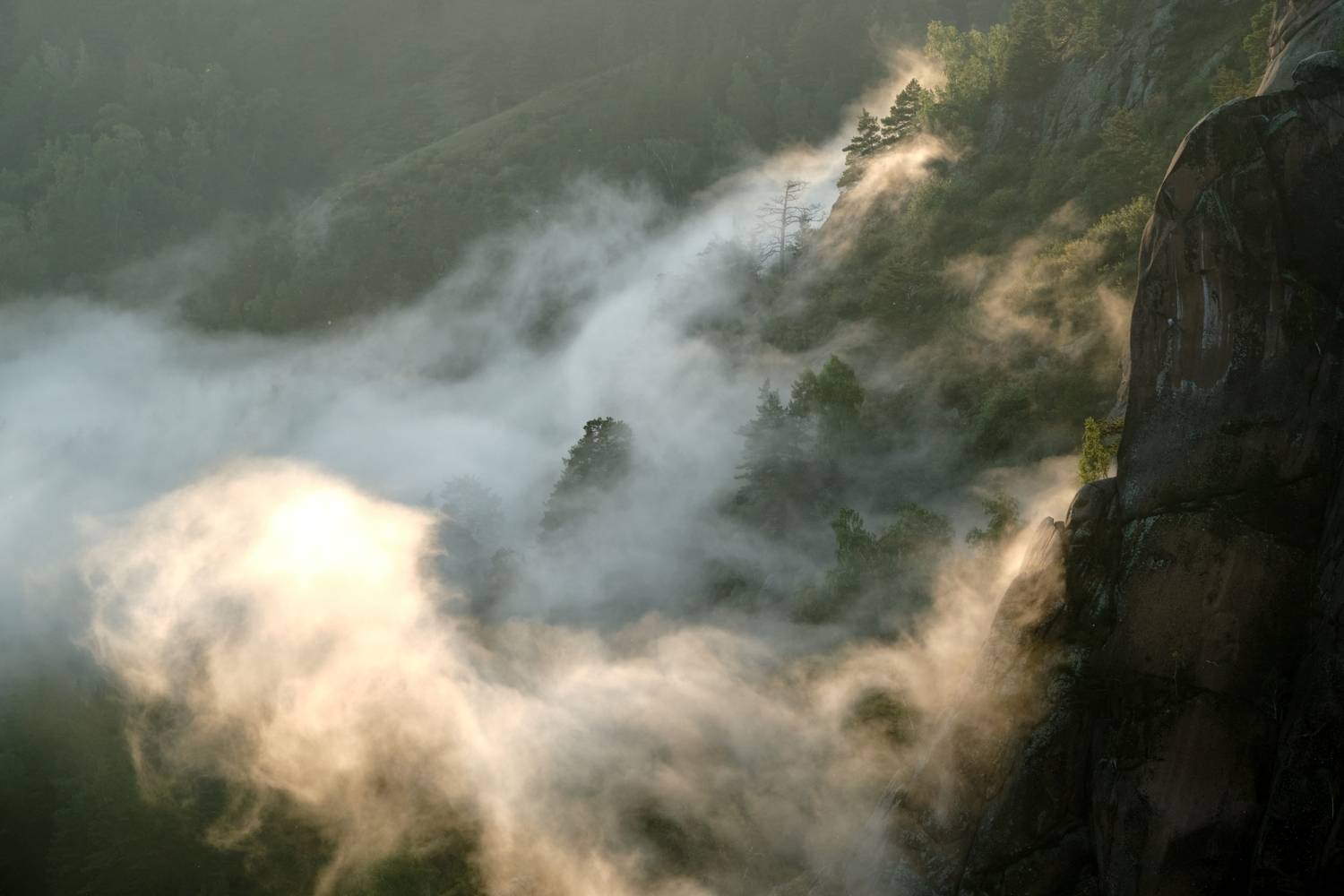 , Багурский Алексей