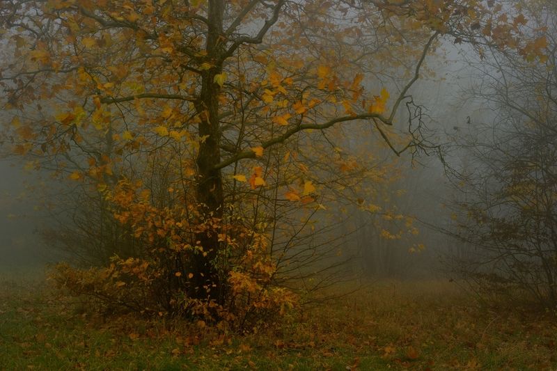 Прошедшая осень фото превью