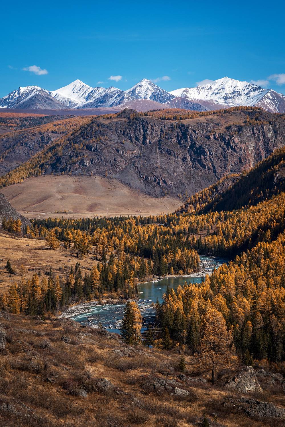 , Бодрягин Виталий