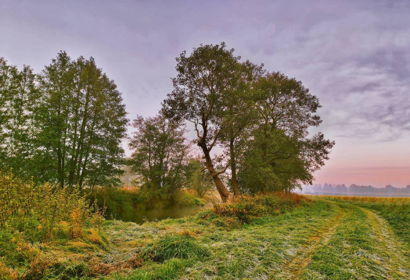 беларусь, дорога, облака, октябрь, осень, поля, рассвет, река, туман, уса, утро, Вейзе Максим