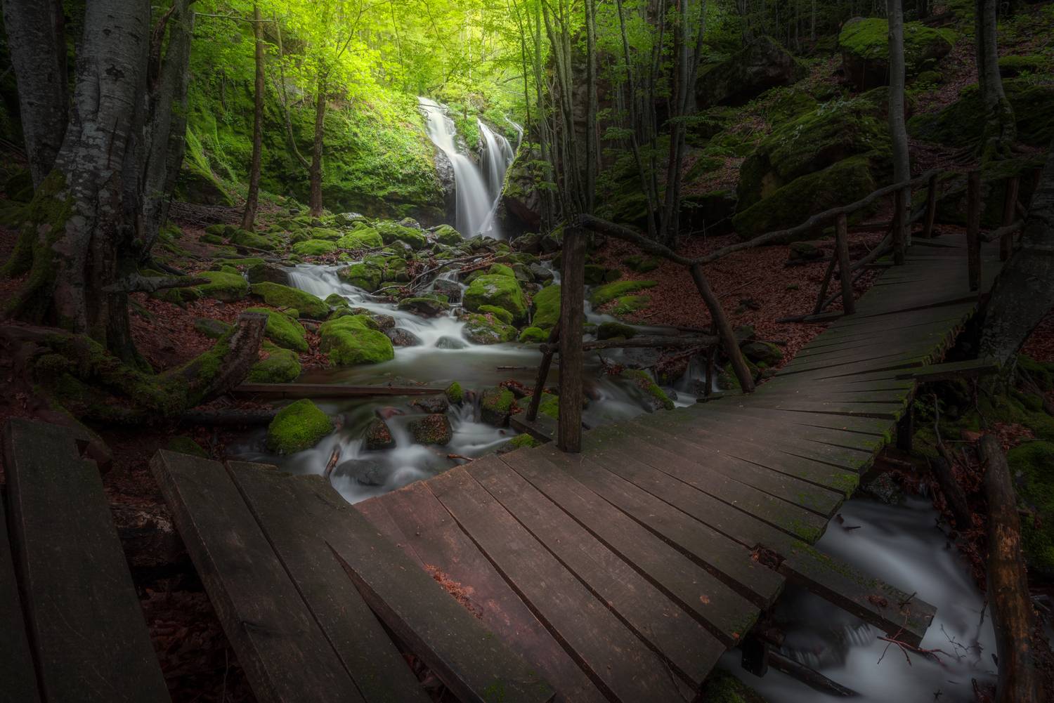 , Mariyana Atanasova - Lucero