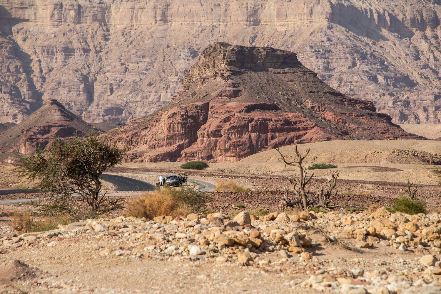 , Vladimir Bragilevsky