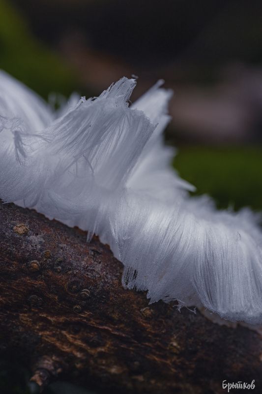 Ледяные волосы фото превью