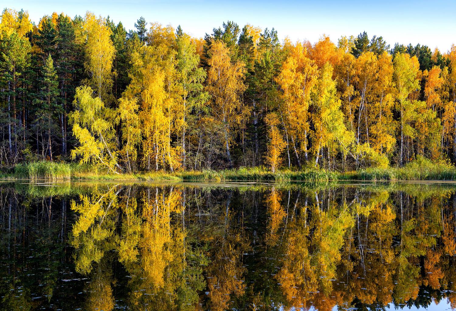 , Ушаков Валерий