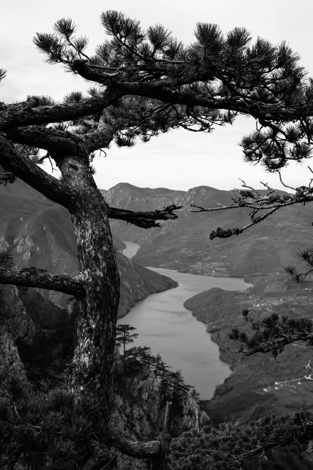 , Шилов Александр