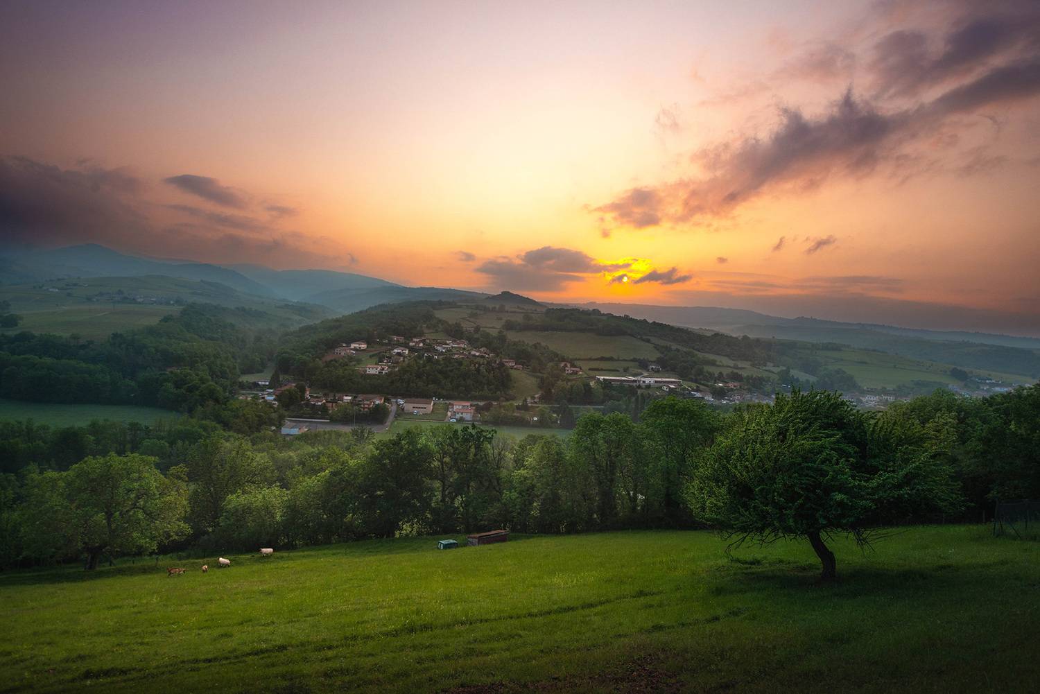 , Gasiorowski Wladyslaw