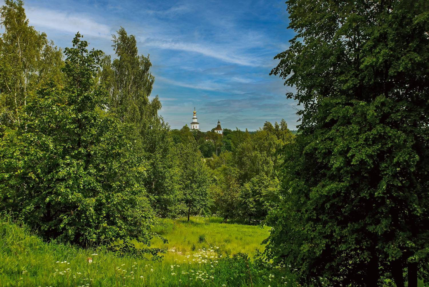 , Владимир Гамаюнов