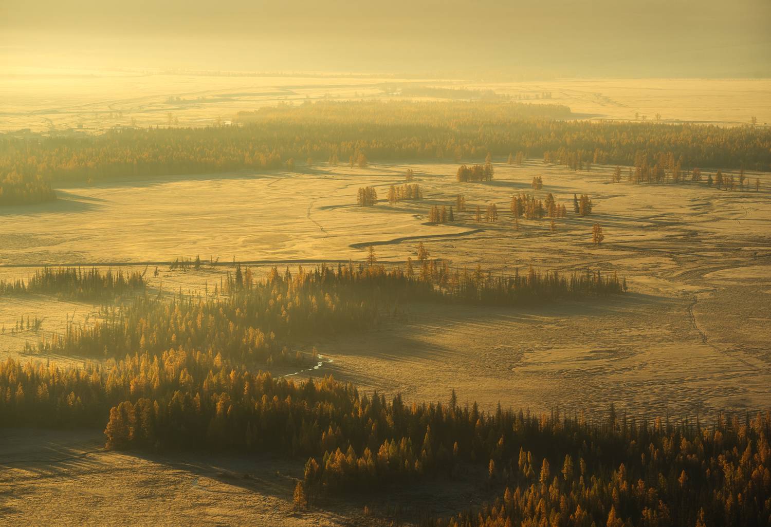 , Олег Герасимов