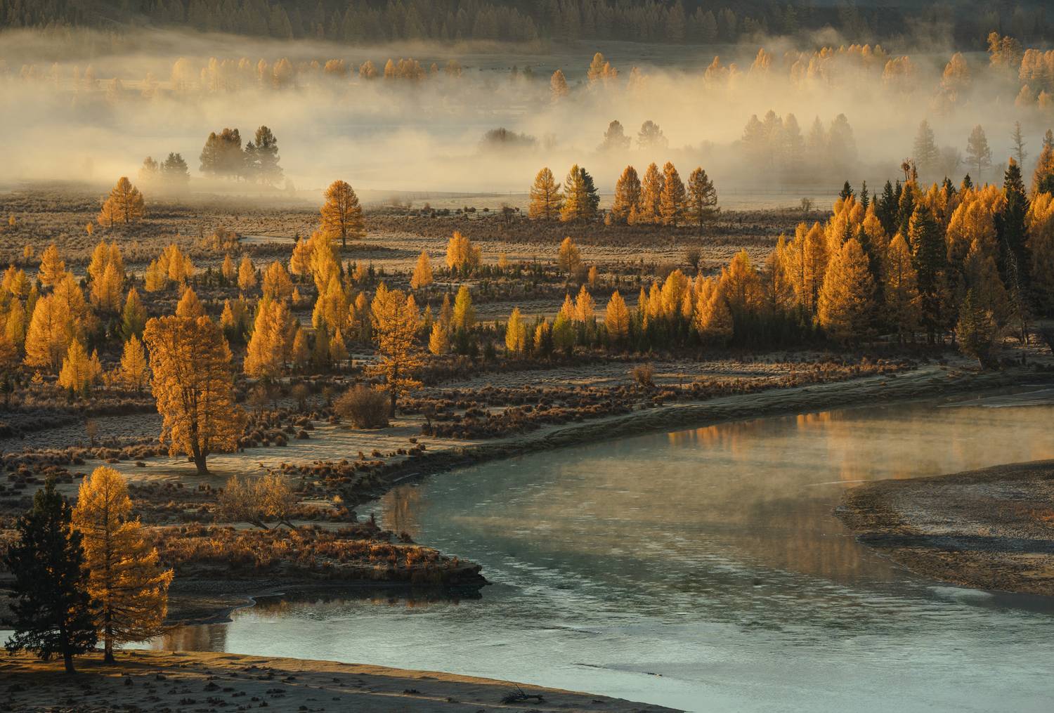 , Олег Герасимов