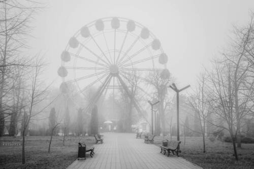 В дымке тумана
