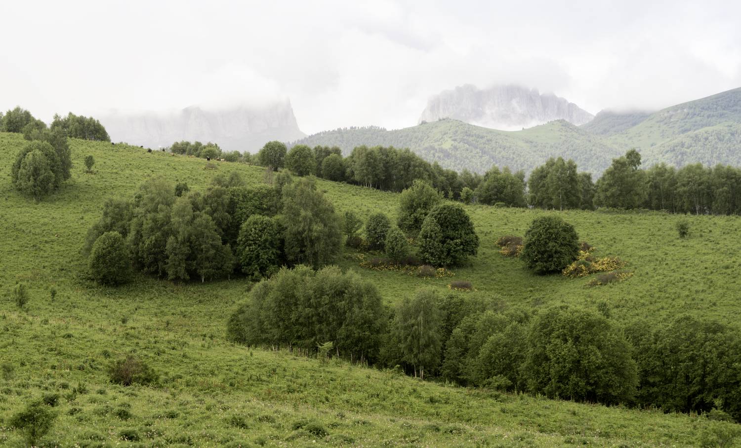 Россия, Краснодарский край, Мостовской район, Бароновы поляны, Чёртовы ворота, Восточный и Западный Ачешбоки, Гаврилов Юрий