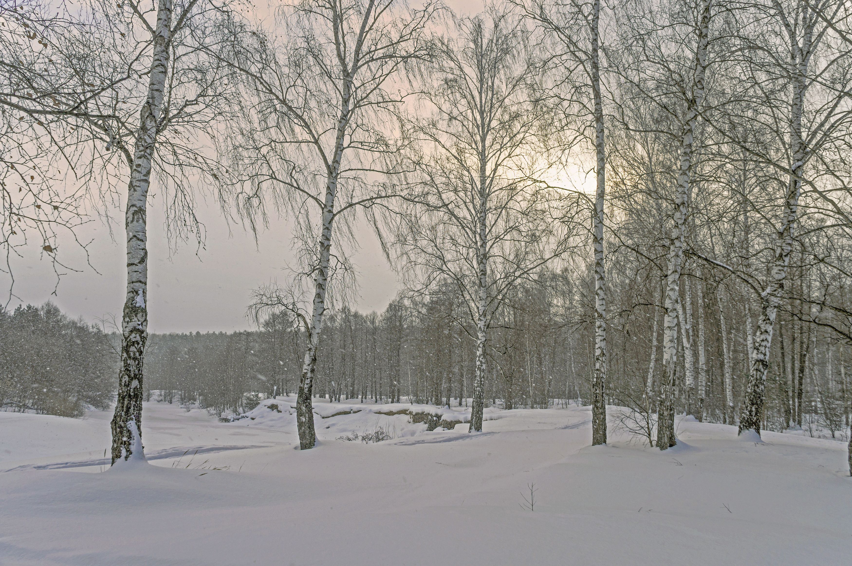 Снегопад. фото превью