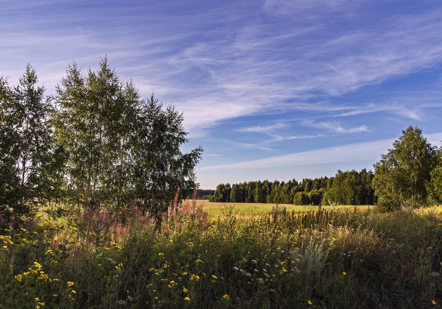 , Шитов Александр