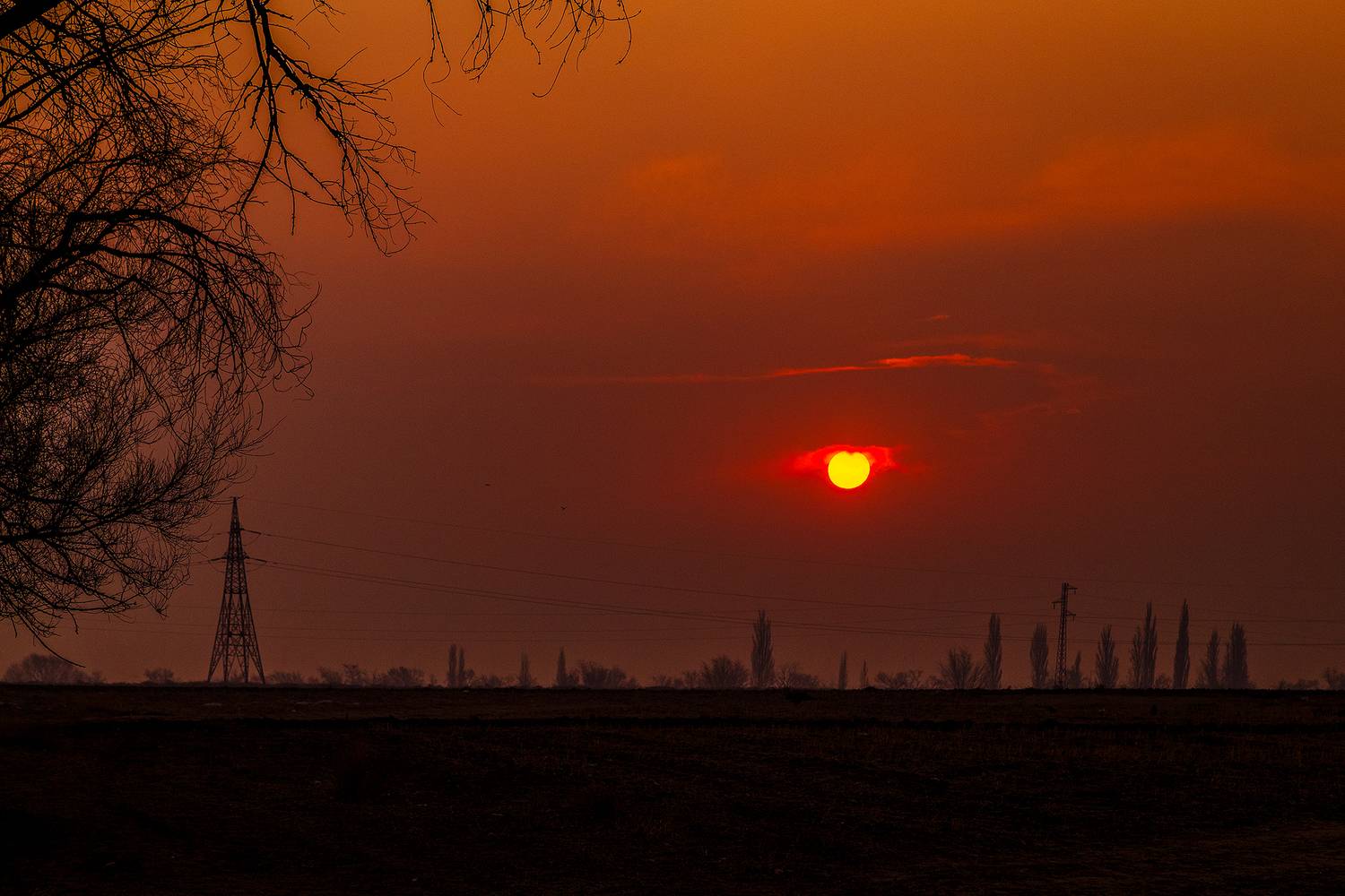 кыргызстан, Элина Магалимова