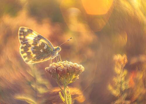 Тихий вечер