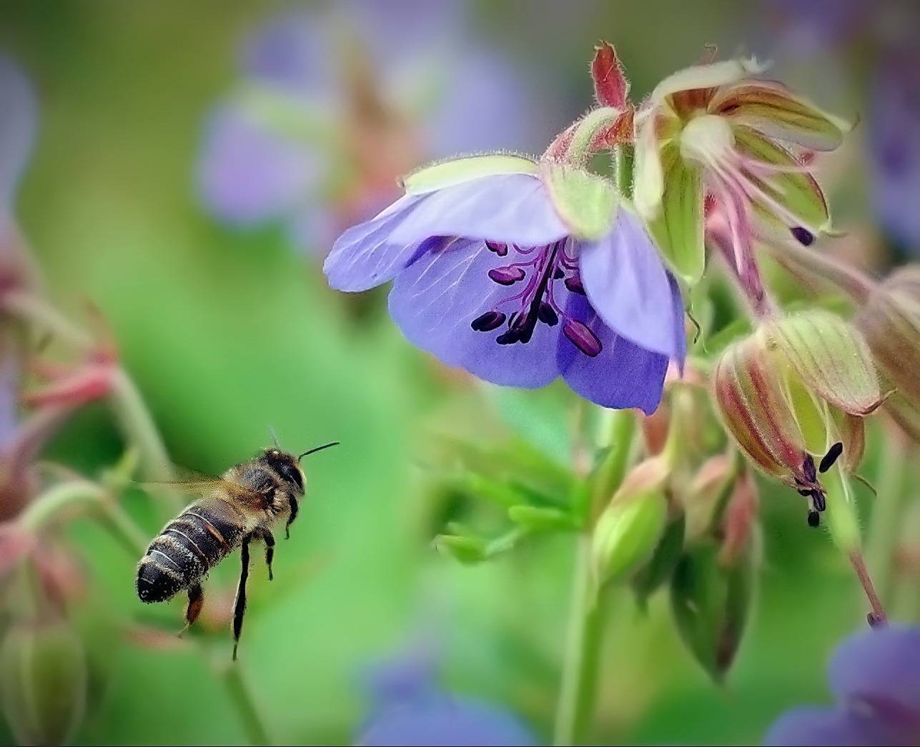 , Сергей Аникин