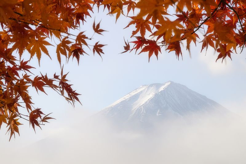 Fujisan фото превью