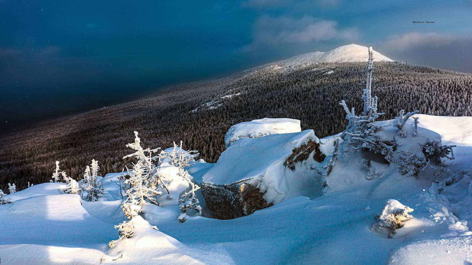 , Евдокимов Сергей