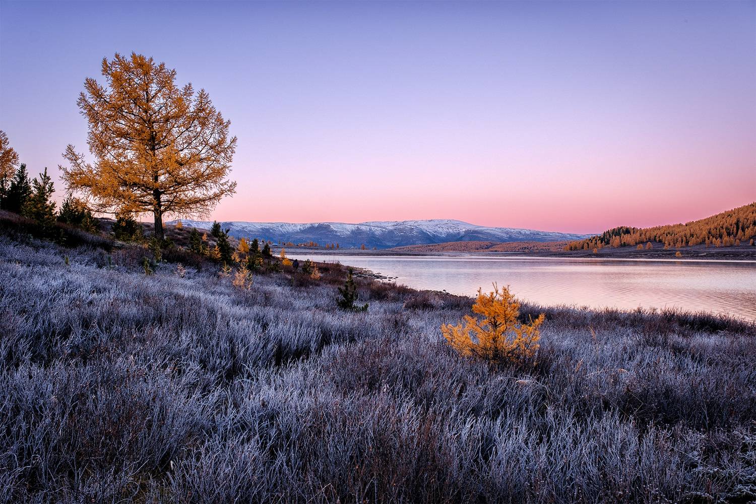 , Бодрягин Виталий