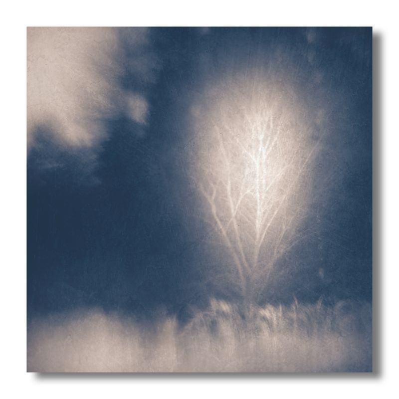 пикториализм, монокль, арт-фотография, художественная фотография, пикториальный пейзаж, пикториальная фотография ___ фото превью