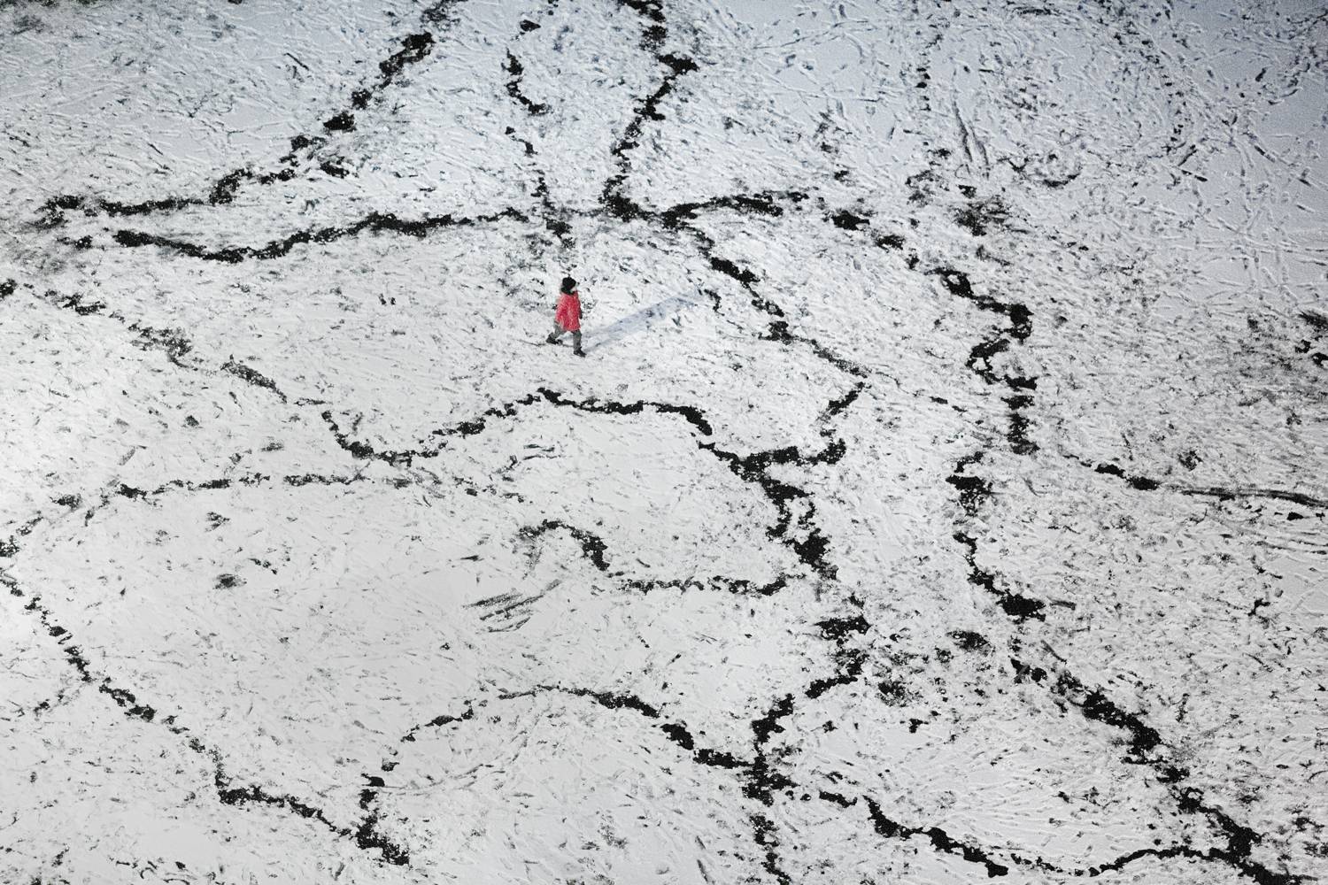 , Алексей Федотов