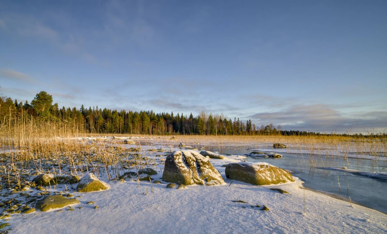 зима декабрь озеро снег лёд камыш валун, Igor Shishpanov
