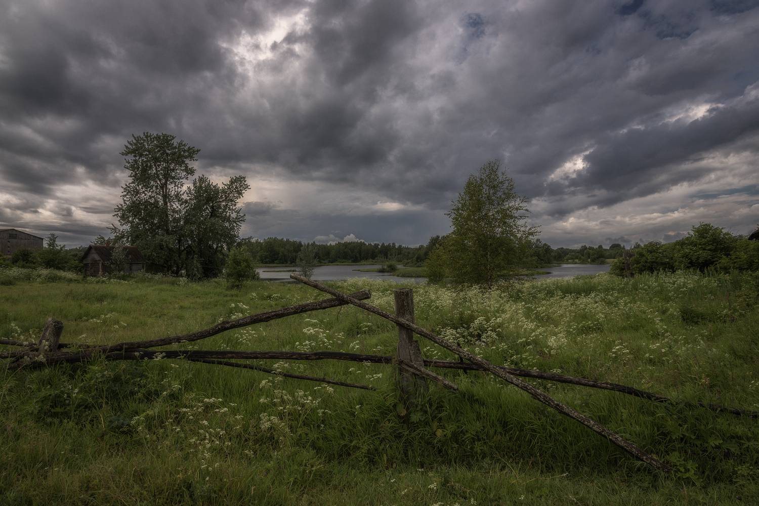 Тверская область, Гусева Елена