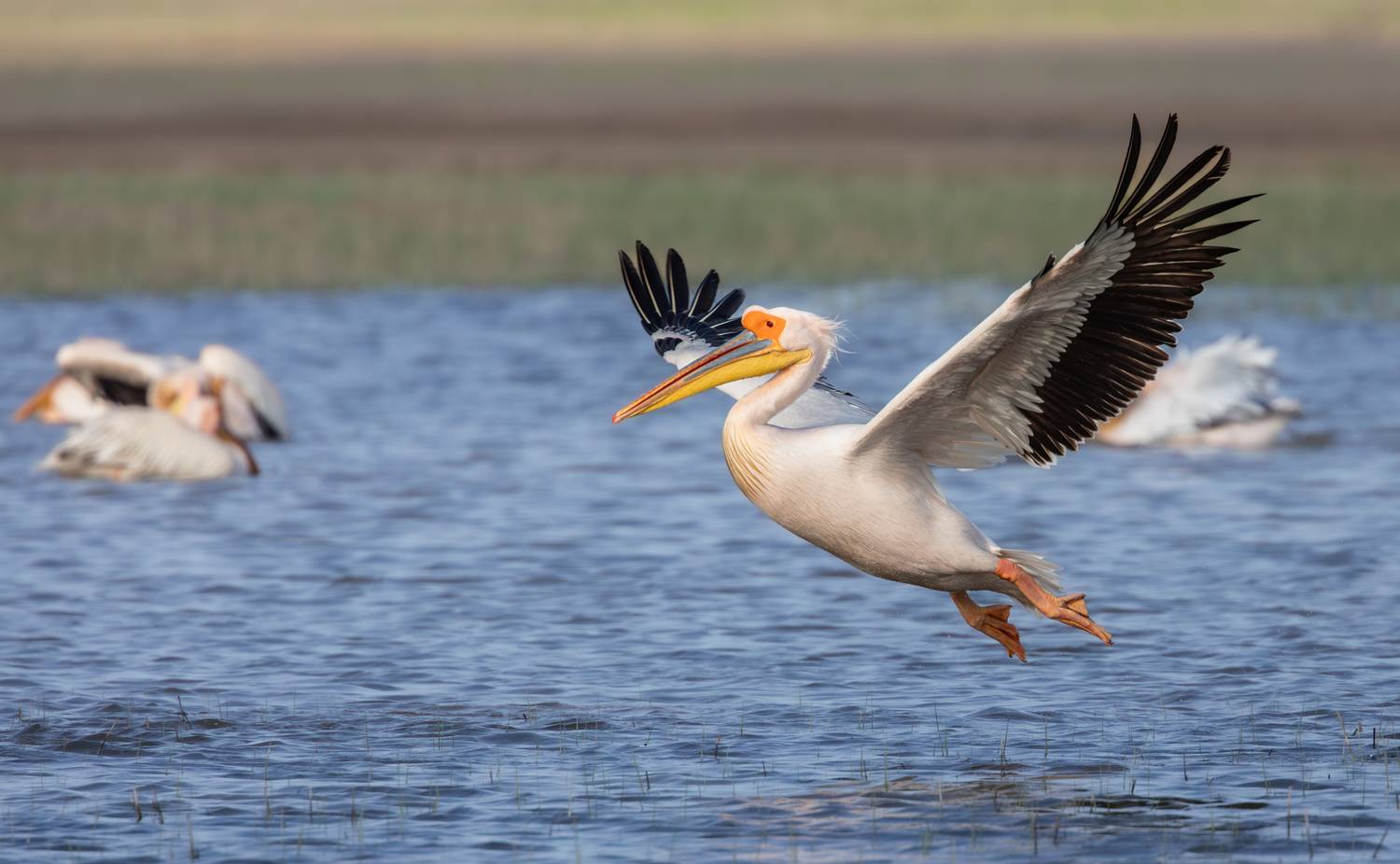 , Веревченко Михаил
