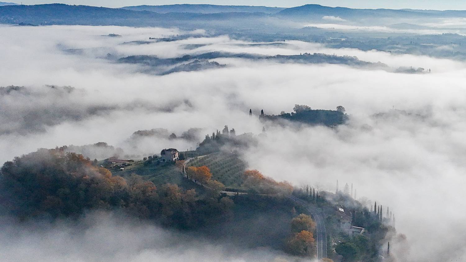 , Дария Максимова