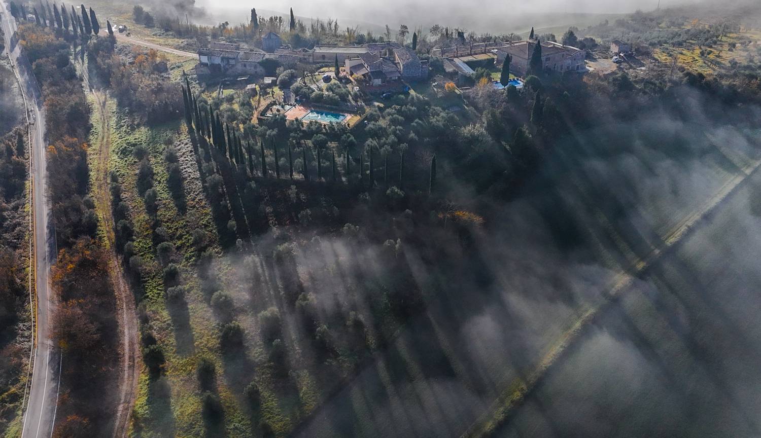 , Дария Максимова