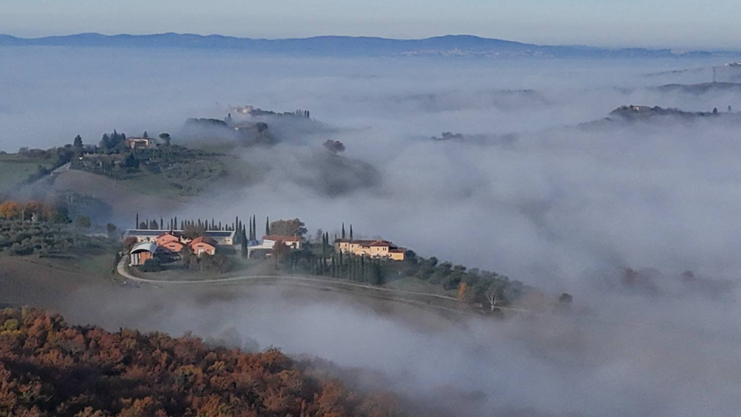 , Дария Максимова