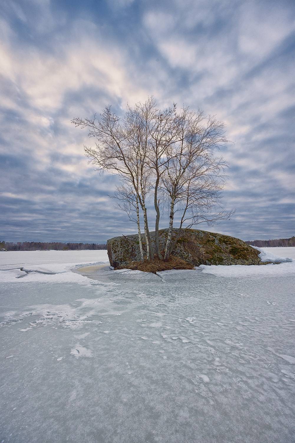 , Елена Михайлова