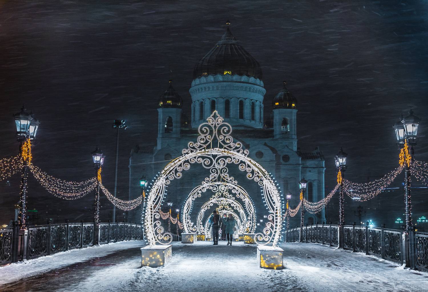 , Трепольский Дмитрий