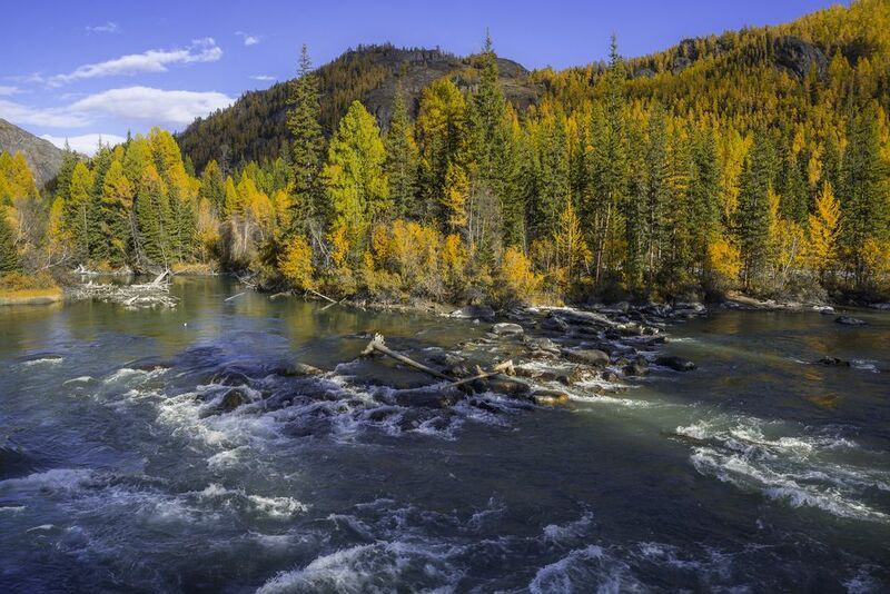 россия, горный алтай, река чуя, осень Осенняя Чуя фото превью