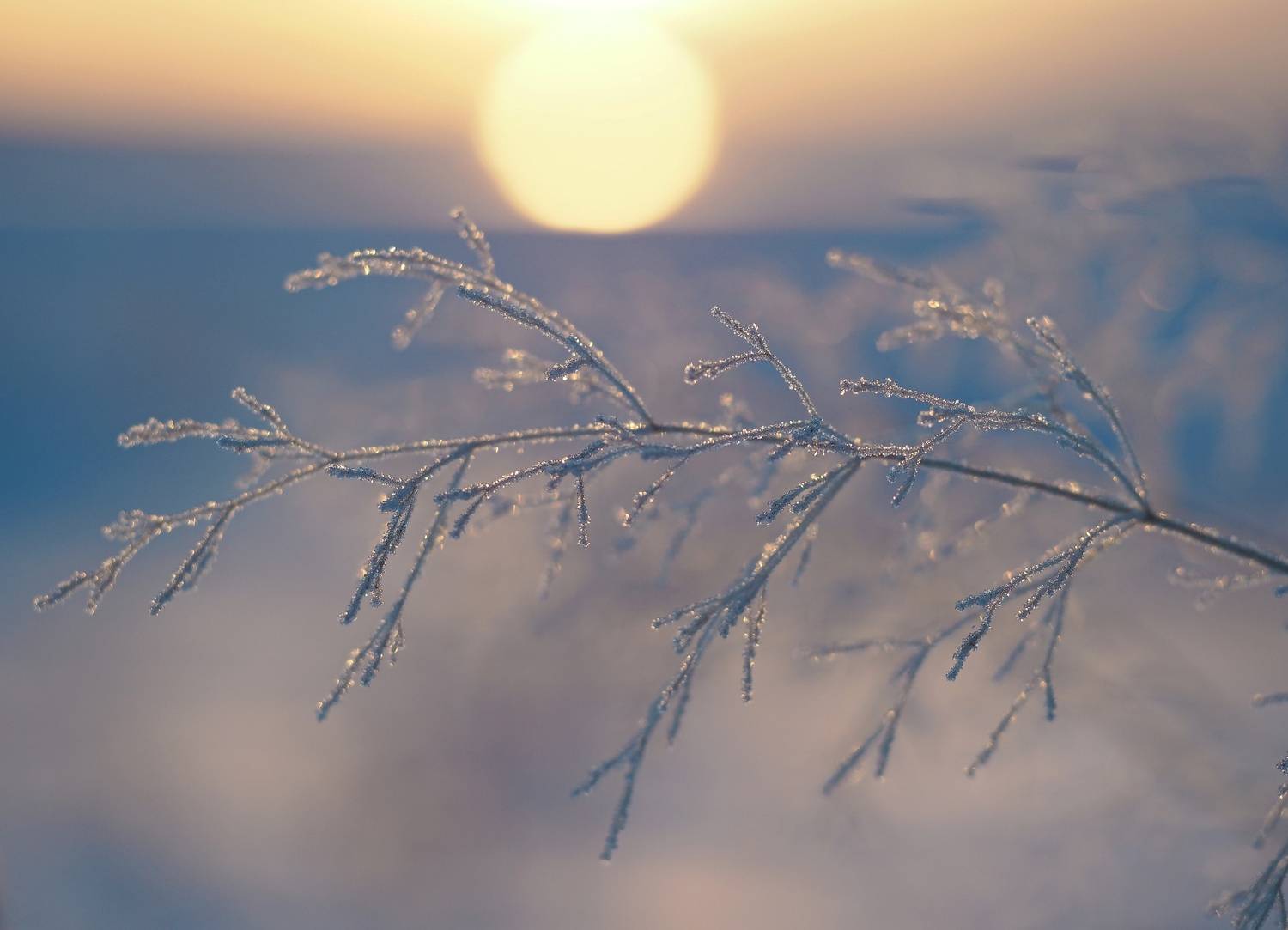 , Яковлев Евгений