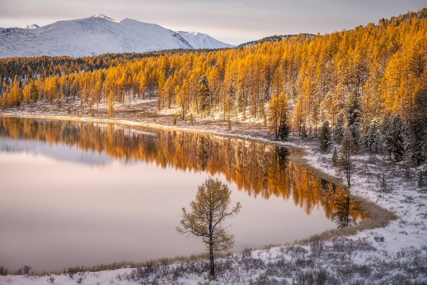 алтай, фототур, Василий Яковлев