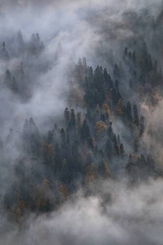 Сумрачный покров