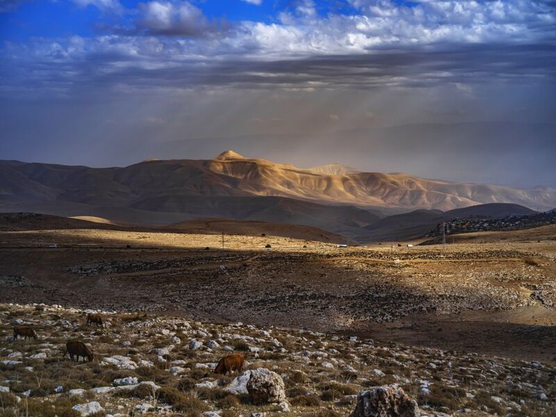 Jordan Valley фото превью
