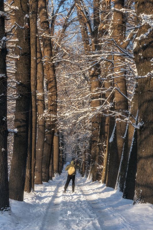 Зимние зарисовки... фото превью