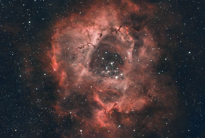 астрофото, туманность, звёзды, ночь Туманность Розетка NGC 2237 фото превью