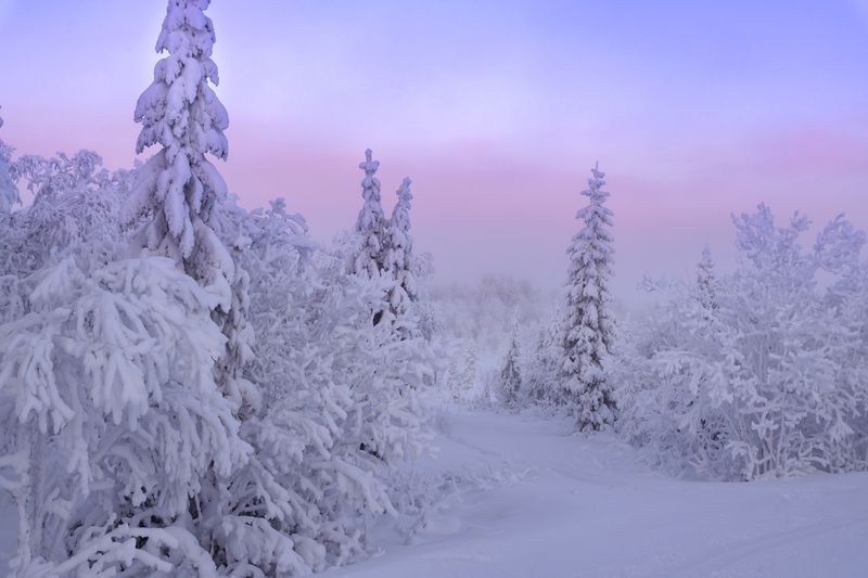 кольский,мурманск,зима, Зима на Кольском полуострове. фото превью